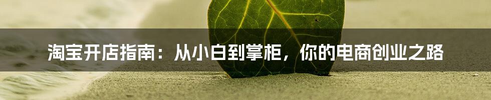 淘宝开店指南：从小白到掌柜，你的电商创业之路
