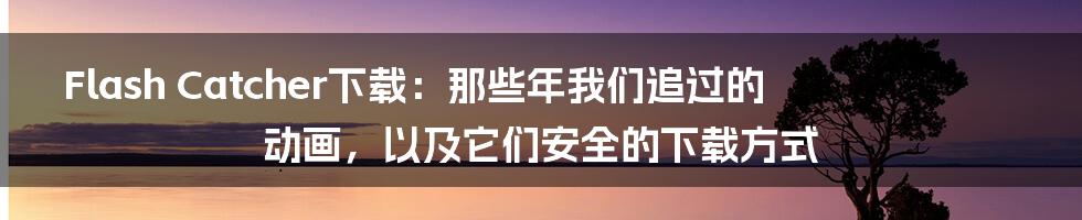 Flash Catcher下载:那些年我们追过的动画,以及它们安全的下载方式