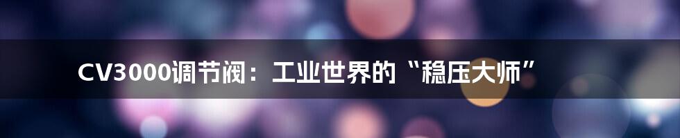 CV3000调节阀:工业世界的“稳压大师”