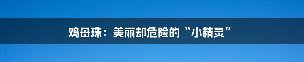 鸡母珠：美丽却危险的“小精灵”