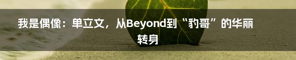 我是偶像:单立文,从Beyond到“豹哥”的华丽转身