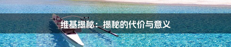 维基揭秘:揭秘的代价与意义