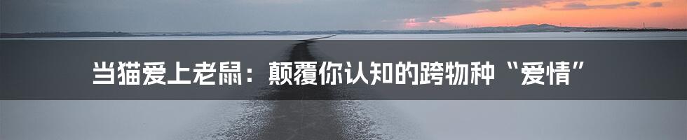 当猫爱上老鼠：颠覆你认知的跨物种“爱情”