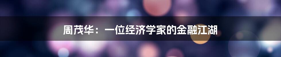 周茂华:一位经济学家的金融江湖