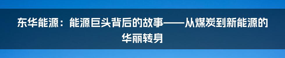 东华能源：能源巨头背后的故事——从煤炭到新能源的华丽转身