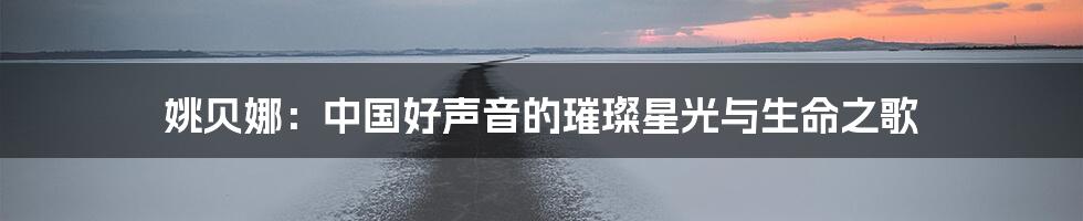 姚贝娜：中国好声音的璀璨星光与生命之歌