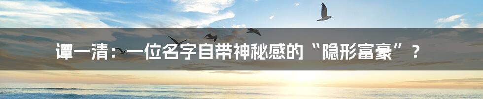 谭一清:一位名字自带神秘感的“隐形富豪”?