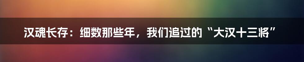 汉魂长存：细数那些年，我们追过的“大汉十三将”