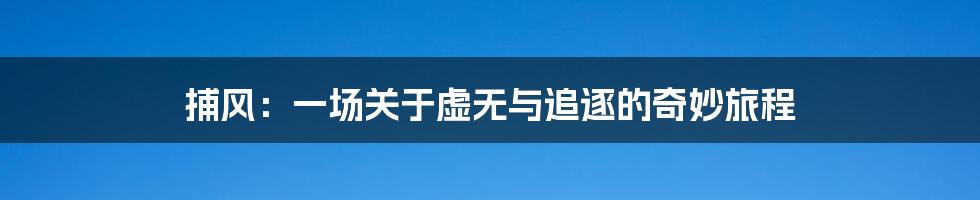 捕风：一场关于虚无与追逐的奇妙旅程