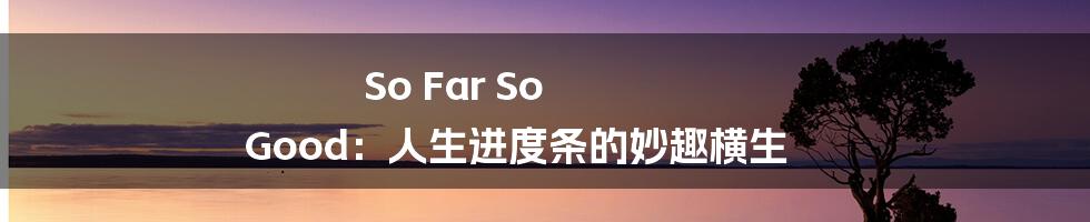 So Far So Good:人生进度条的妙趣横生