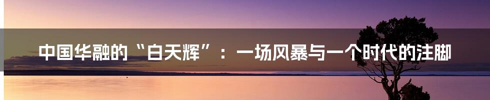 中国华融的“白天辉”：一场风暴与一个时代的注脚
