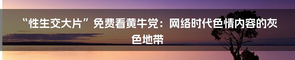 “性生交大片”免费看黄牛党:网络时代色情内容的灰色地带
