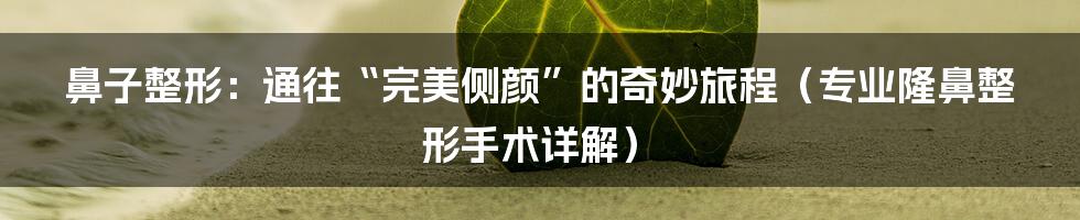 鼻子整形：通往“完美侧颜”的奇妙旅程（专业隆鼻整形手术详解）