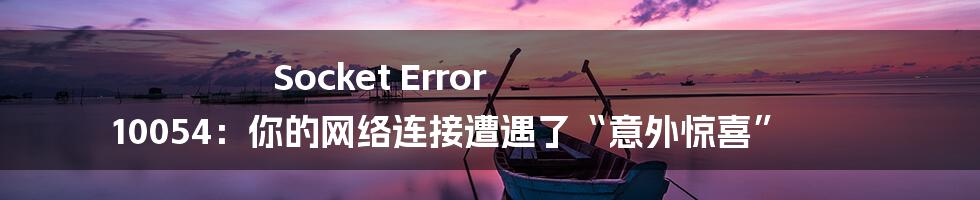 Socket Error 10054：你的网络连接遭遇了“意外惊喜”