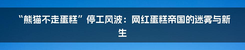 “熊猫不走蛋糕”停工风波：网红蛋糕帝国的迷雾与新生