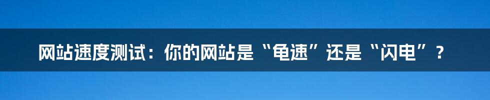 网站速度测试:你的网站是“龟速”还是“闪电”?