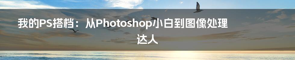 我的PS搭档:从Photoshop小白到图像处理达人