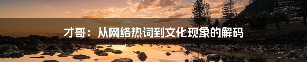 才哥：从网络热词到文化现象的解码