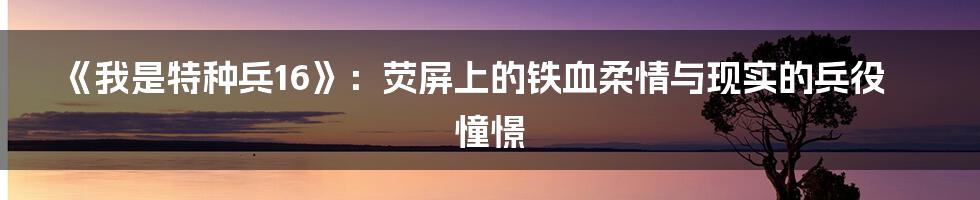 《我是特种兵16》:荧屏上的铁血柔情与现实的兵役憧憬
