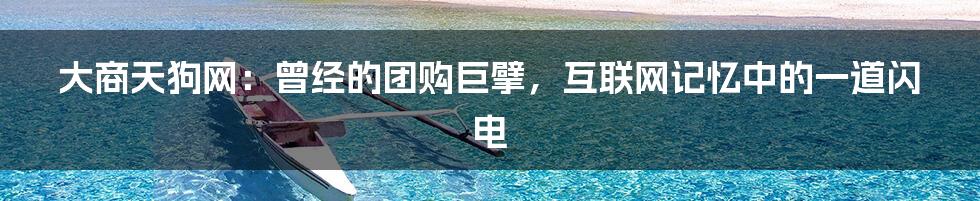 大商天狗网：曾经的团购巨擘，互联网记忆中的一道闪电