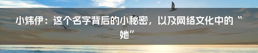 小炜伊：这个名字背后的小秘密，以及网络文化中的“她”
