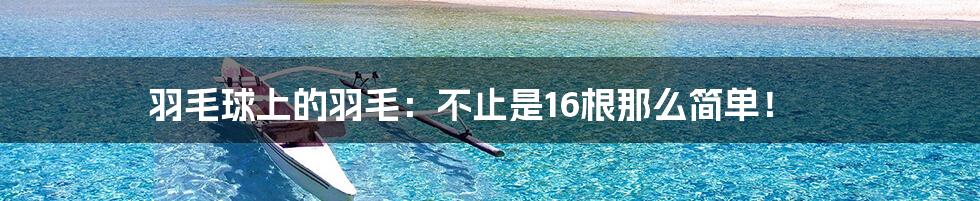 羽毛球上的羽毛：不止是16根那么简单！