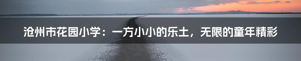 沧州市花园小学:一方小小的乐土,无限的童年精彩
