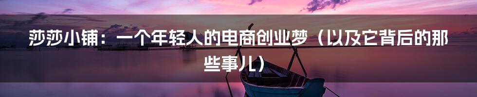 莎莎小铺:一个年轻人的电商创业梦(以及它背后的那些事儿)