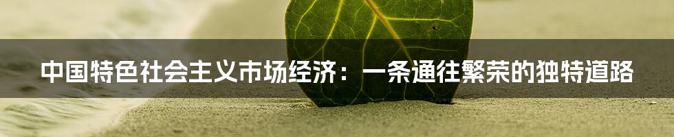 中国特色社会主义市场经济：一条通往繁荣的独特道路