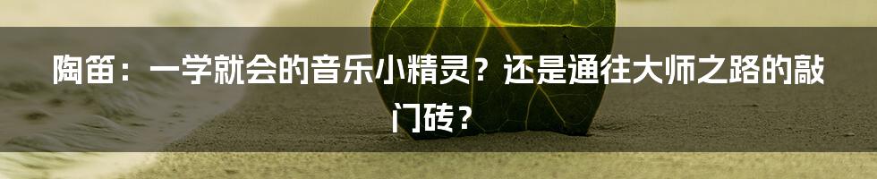 陶笛:一学就会的音乐小精灵?还是通往大师之路的敲门砖?