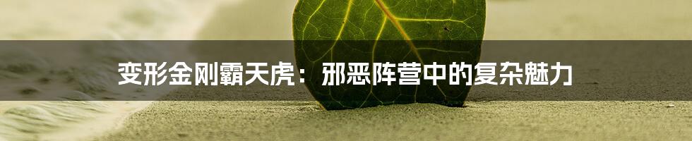 变形金刚霸天虎：邪恶阵营中的复杂魅力