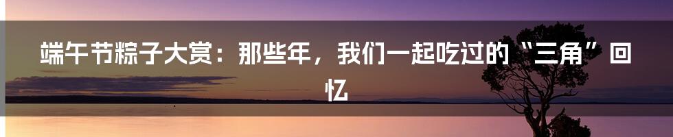 端午节粽子大赏：那些年，我们一起吃过的“三角”回忆