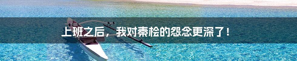 上班之后,我对秦桧的怨念更深了!