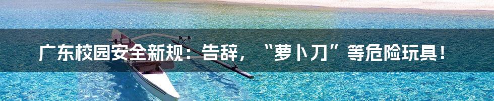 广东校园安全新规:告辞,“萝卜刀”等危险玩具!