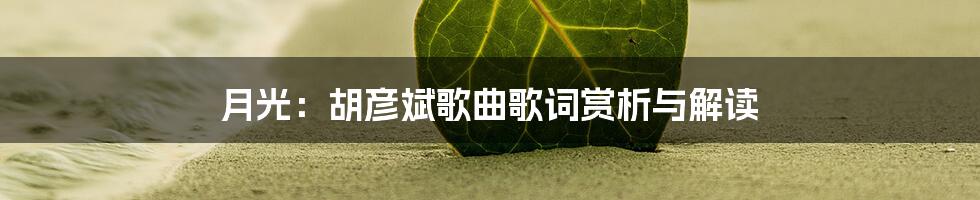 月光:胡彦斌歌曲歌词赏析与解读