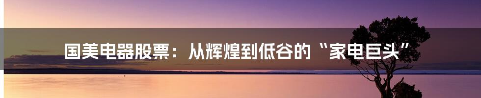 国美电器股票：从辉煌到低谷的“家电巨头”