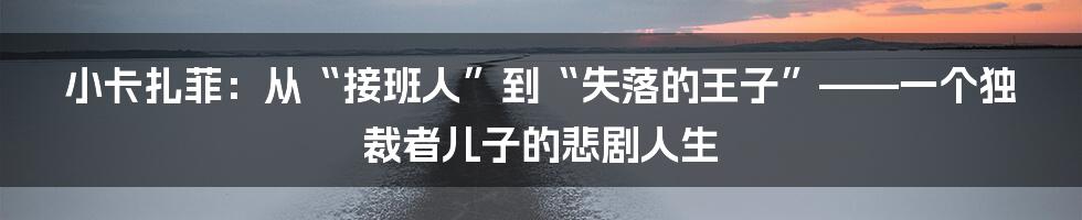 小卡扎菲:从“接班人”到“失落的王子”——一个独裁者儿子的悲剧人生