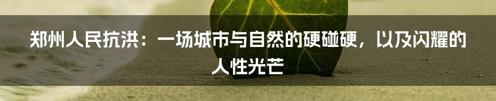 郑州人民抗洪：一场城市与自然的硬碰硬，以及闪耀的人性光芒