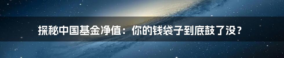 探秘中国基金净值：你的钱袋子到底鼓了没？