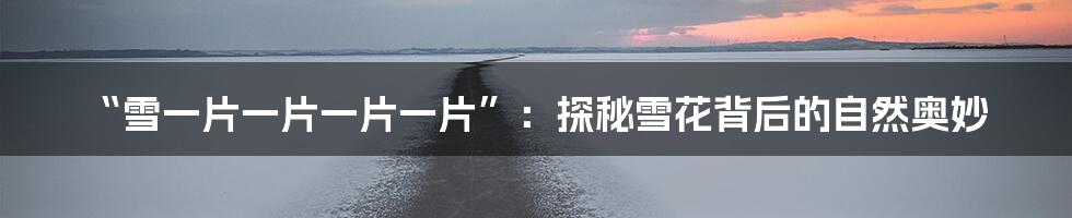 “雪一片一片一片一片”:探秘雪花背后的自然奥妙
