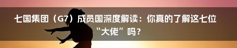 七国集团(G7)成员国深度解读:你真的了解这七位“大佬”吗?