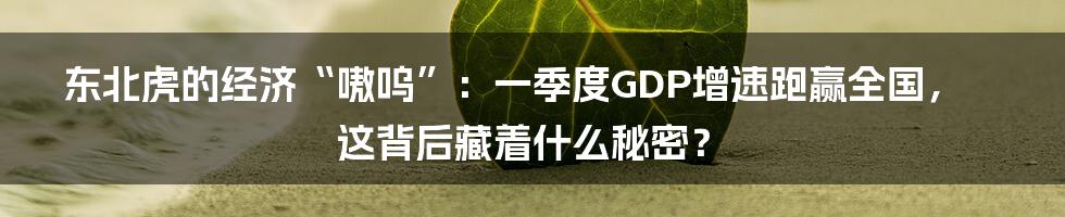 东北虎的经济“嗷呜”:一季度GDP增速跑赢全国,这背后藏着什么秘密?