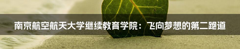 南京航空航天大学继续教育学院:飞向梦想的第二跑道