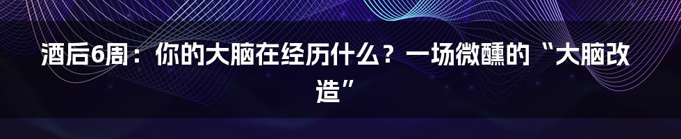 酒后6周：你的大脑在经历什么？一场微醺的“大脑改造”