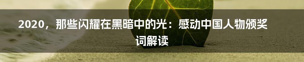 2020，那些闪耀在黑暗中的光：感动中国人物颁奖词解读