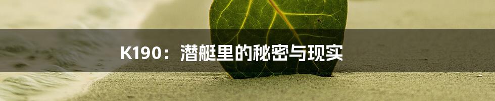 K190:潜艇里的秘密与现实