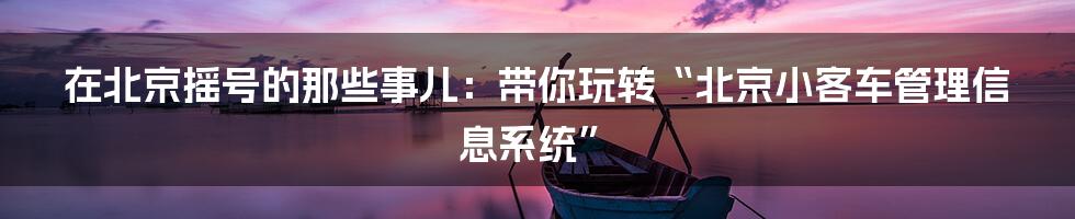 在北京摇号的那些事儿：带你玩转“北京小客车管理信息系统”