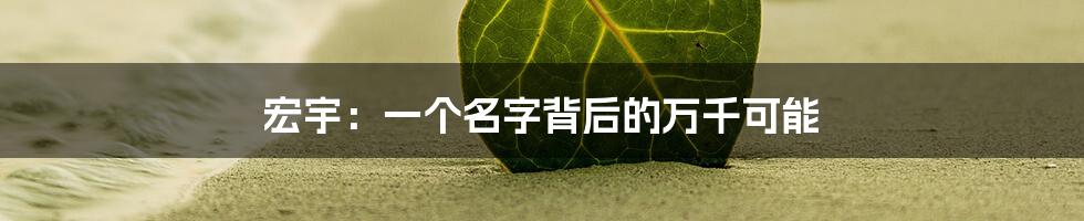 宏宇：一个名字背后的万千可能
