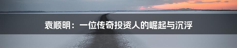 袁顺明:一位传奇投资人的崛起与沉浮