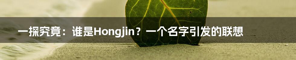 一探究竟:谁是Hongjin?一个名字引发的联想